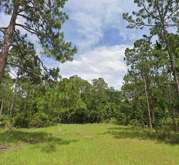 7143 OAK GLEN TRL, Harmony, FL 34773