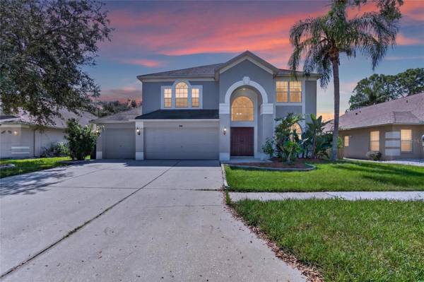 9110 ROCKROSE DR, Tampa, FL 33647