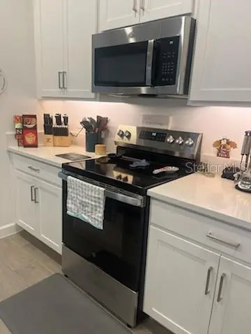 9760 MINNOW RAY DR, Land O Lakes, FL 34638