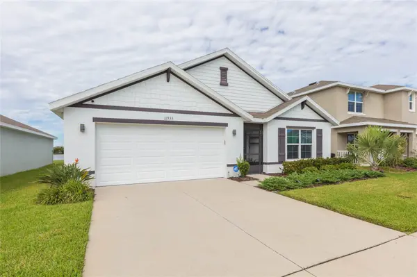 11933 DOWNY BIRCH DR, Riverview, FL 33569