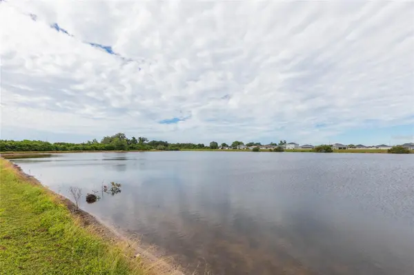 11933 DOWNY BIRCH DR, Riverview, FL 33569