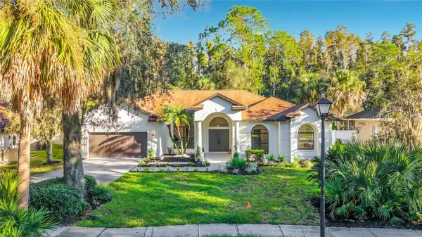 7210 WAREHAM DR, Tampa, FL 33647