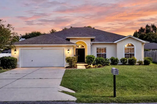 222 BIRD OF PARADISE DR, Palm Coast, FL 32137
