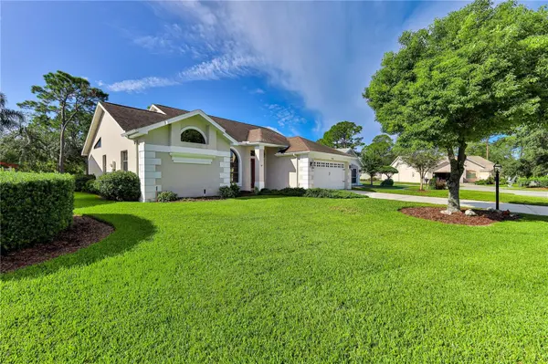 7360 CLEARMEADOW DR, Spring Hill, FL 34606