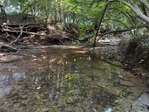 0 Walnut Hill Ln. (36.31+/- Acres), Elsberry, MO 63343