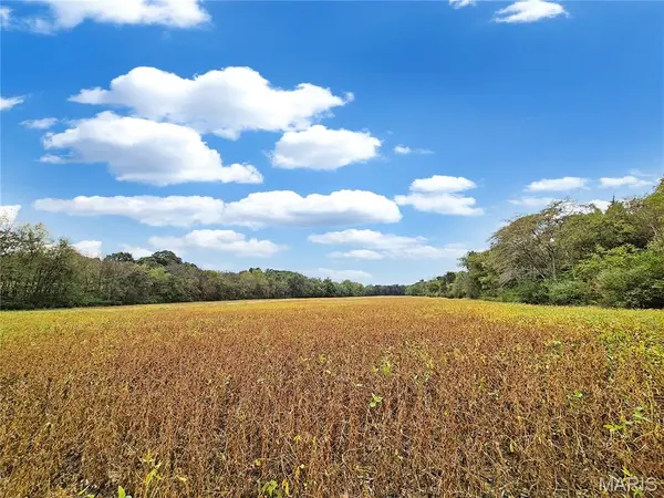0 Walnut Hill Ln. (36.31+/- Acres), Elsberry, MO 63343