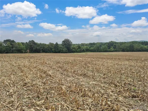 0 Hwy B (Tract A - 10.60+/- Acres), Elsberry, MO 63343