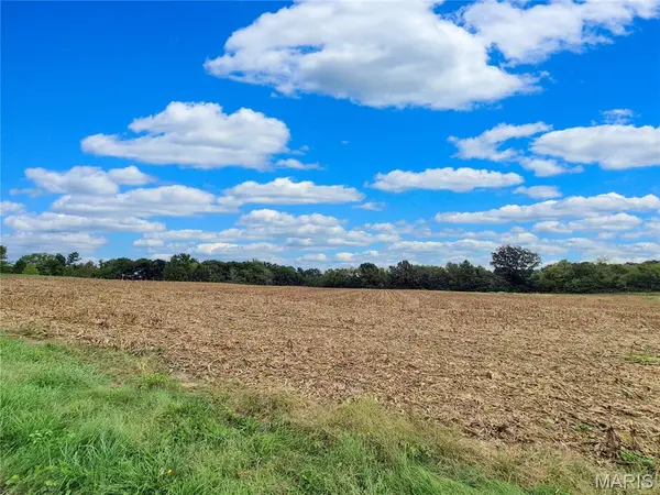 0 Highway B (Tract B - 17+/- Acres), Elsberry, MO 63343
