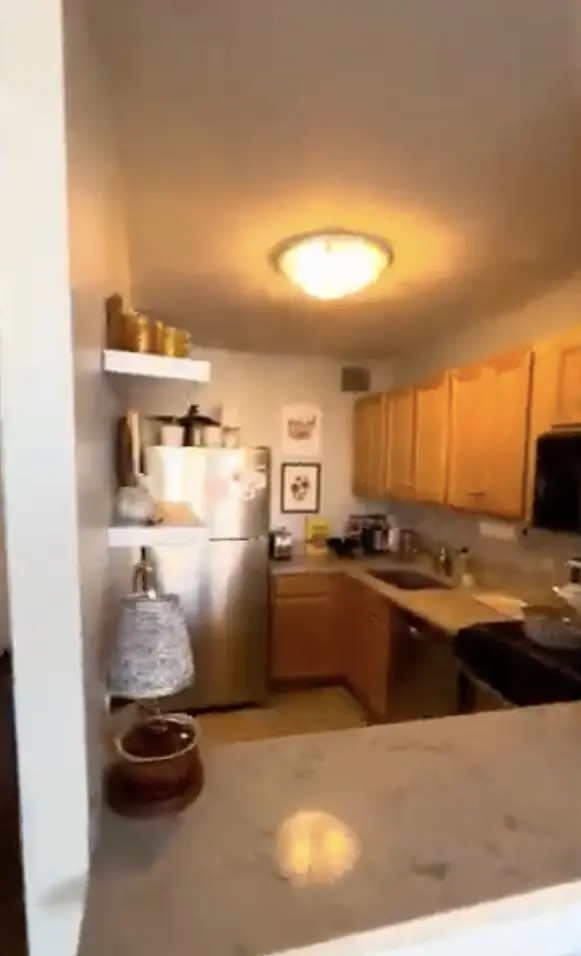444 W Fullerton Pkwy #802, Chicago, IL 60614