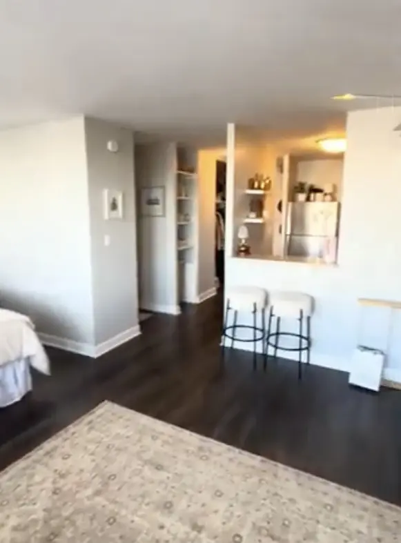 444 W Fullerton Pkwy #802, Chicago, IL 60614