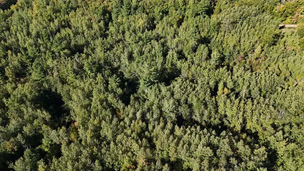 TBD Estates Range RD, Kerrick, MN 55756