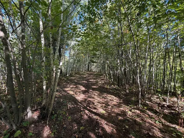 TBD Estates, Kerrick, MN 55756