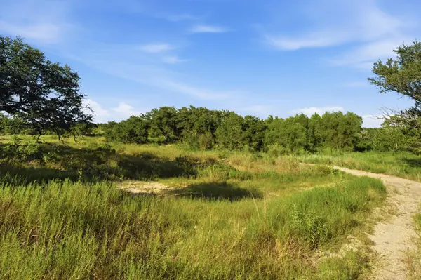 TBD Lot 8 Ranchero ST, Bertram, TX 78605
