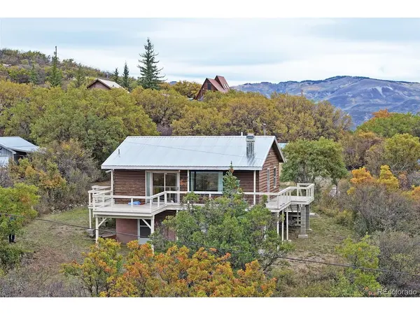 67649 Vega Vista, Collbran, CO 81624