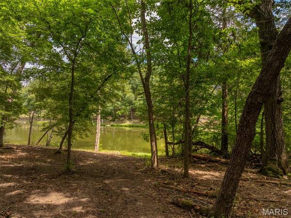 2763 Tyrol Point DR, Innsbrook, MO 63390