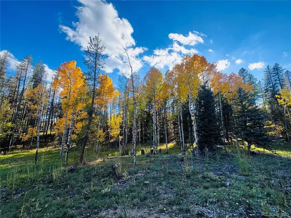 216620 Indian Springs, Conifer, CO 80433