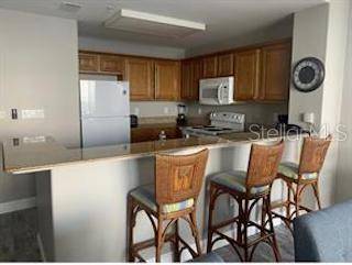 13427 BLUE HERON BEACH DR #501, Orlando, FL 32821