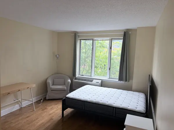 801 S PLYMOUTH CT #306, Chicago, IL 60605