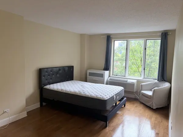 801 S PLYMOUTH CT #306, Chicago, IL 60605