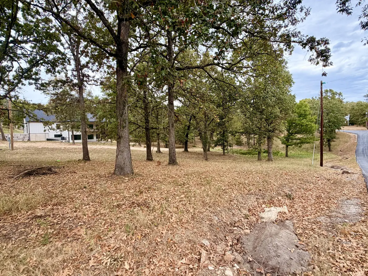 000 N Maple ST, Blue Eye, MO 65611