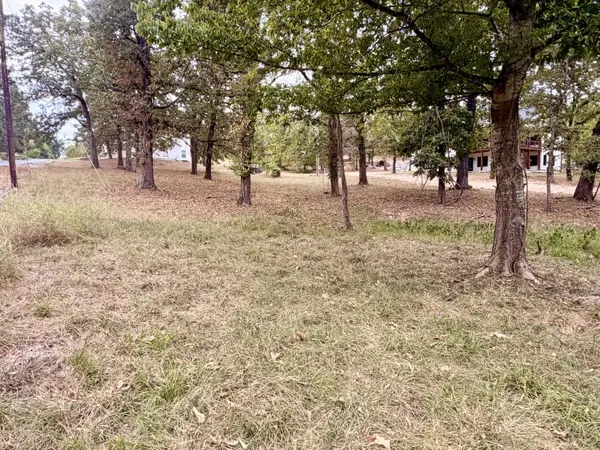 000 N Maple ST, Blue Eye, MO 65611