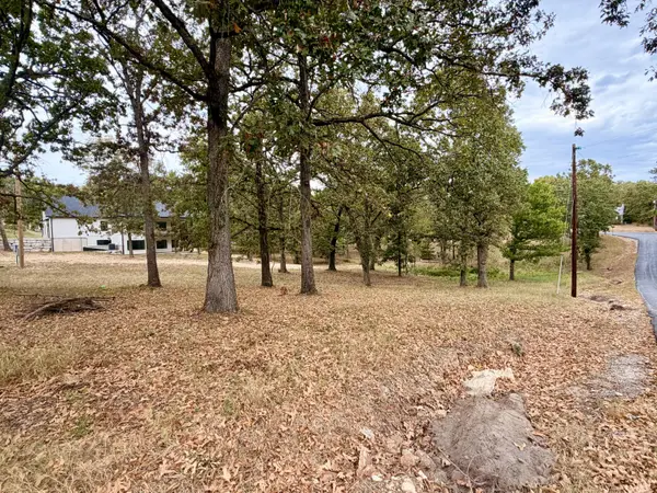 000 N Maple ST, Blue Eye, MO 65611