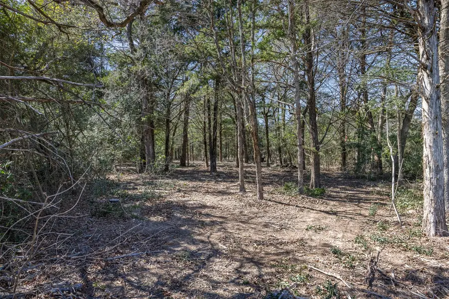 4.81 AC Pauline LN, Caldwell, TX 77836