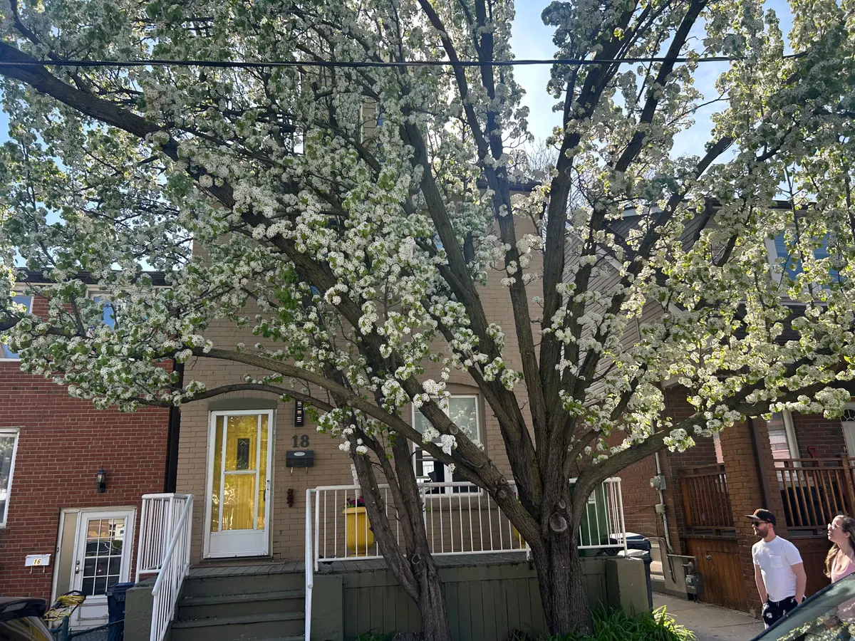 18 Pape AVE #upper, Toronto E01, ON M4M 2V6
