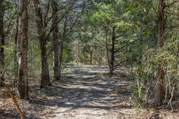4.81 AC Pauline LN, Caldwell, TX 77836