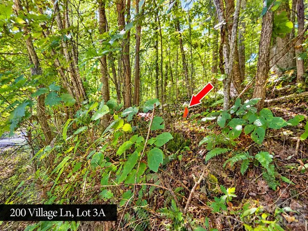 200 Village LN #3A, Waynesville, NC 28786