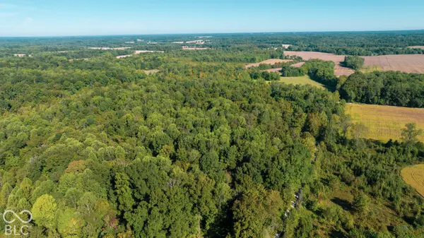 Tract 1 E Peacock RD, Deputy, IN 47230