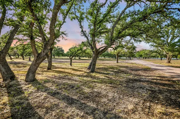 1295 Park Rd 4, Burnet, TX 78611