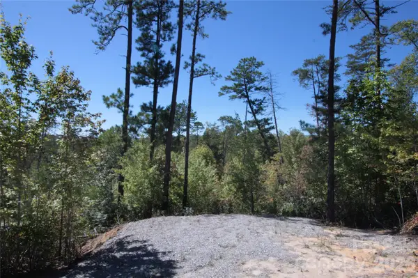 Lot 25 Round Mountain RD #25, Brevard, NC 28712