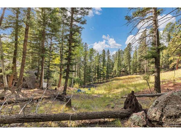 926 Pinon, Florissant, CO 80816