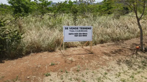 Carr 748 KM 1.4 BO. CAIMITAL, Guayama, PR 00784