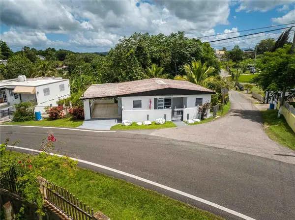 Carretera 454 H5.K6, BARRIO CALLEJONES, Lares, PR 00669