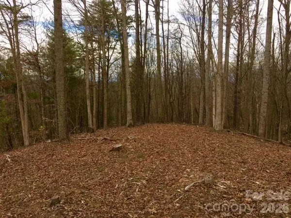 45 Sweet Fern Pkwy #43, Asheville, NC 28804
