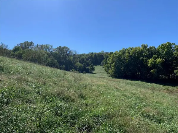 21755 Grass Pad RD, Platte City, MO 64079