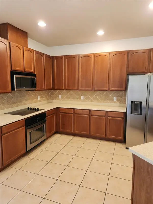 20311 CHESTNUT GROVE DR, Tampa, FL 33647
