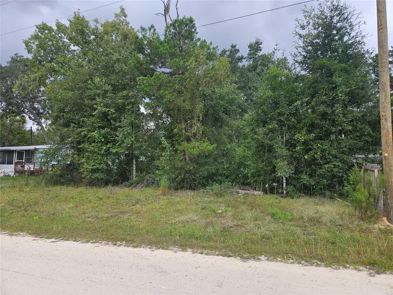 0000 NE 141ST AVE, Williston, FL 32696