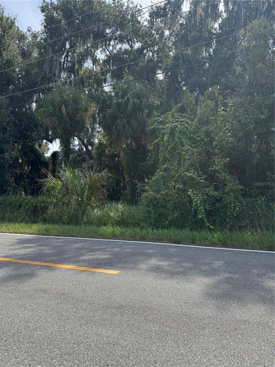 0 MEDULLA RD, Lakeland, FL 33811
