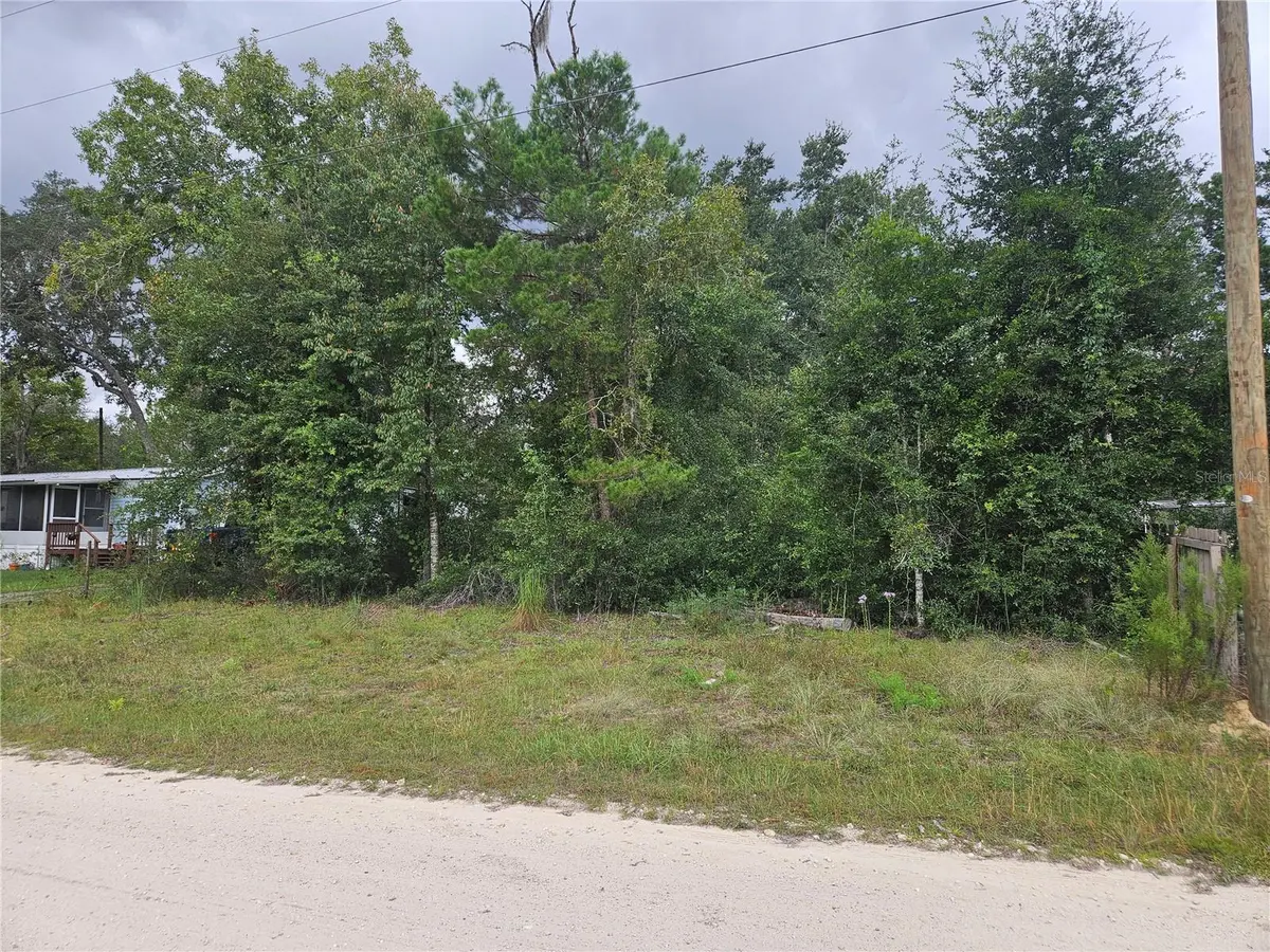 0000 NE 141ST AVE, Williston, FL 32696