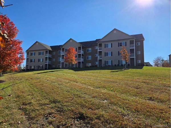 44 High ST #333, Chester, NY 10918