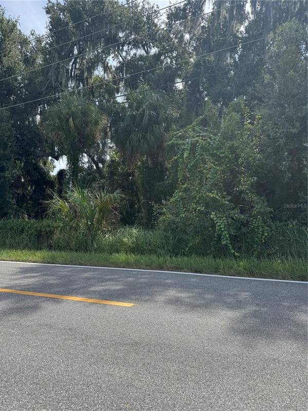 0 MEDULLA RD, Lakeland, FL 33811
