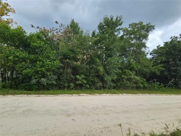 0000 NE 141ST AVE, Williston, FL 32696