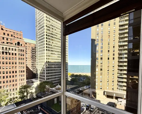 100 E bellevue ST #10F, Chicago, IL 60611