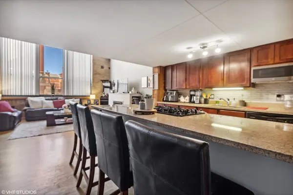 1727 S Indiana AVE #110, Chicago, IL 60616