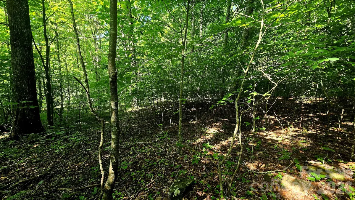 Lot 11 Elk Creek Mountain Pkwy #11, Todd, NC 28684