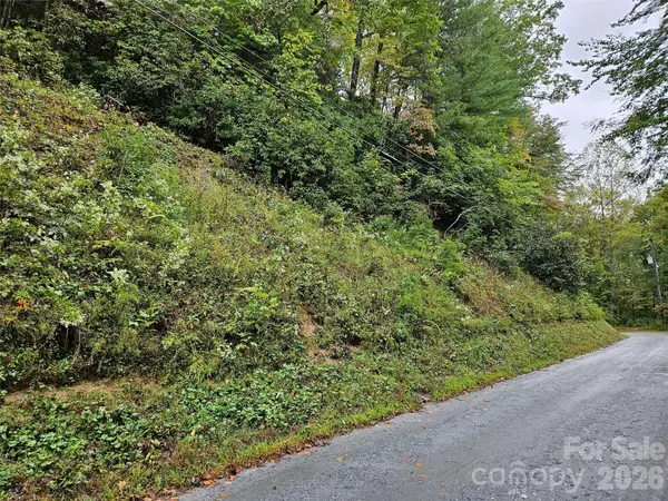 0 Rainbow CIR #8, Lake Lure, NC 28746