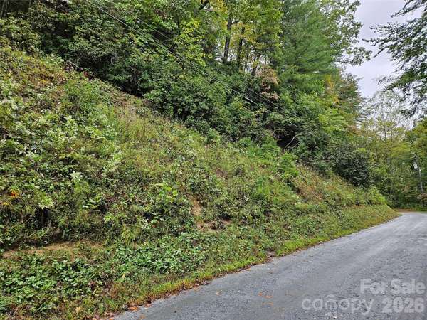 0 Rainbow CIR #8, Lake Lure, NC 28746
